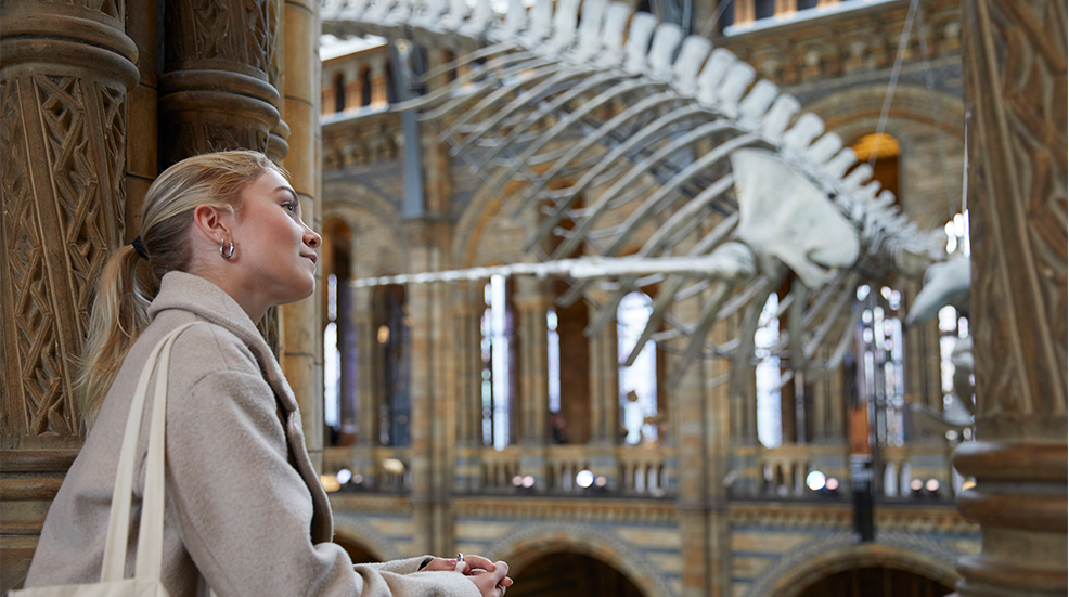 A woman looks out from a balcony at the main hall of the Natural History Museum with the whale skeleton in the background